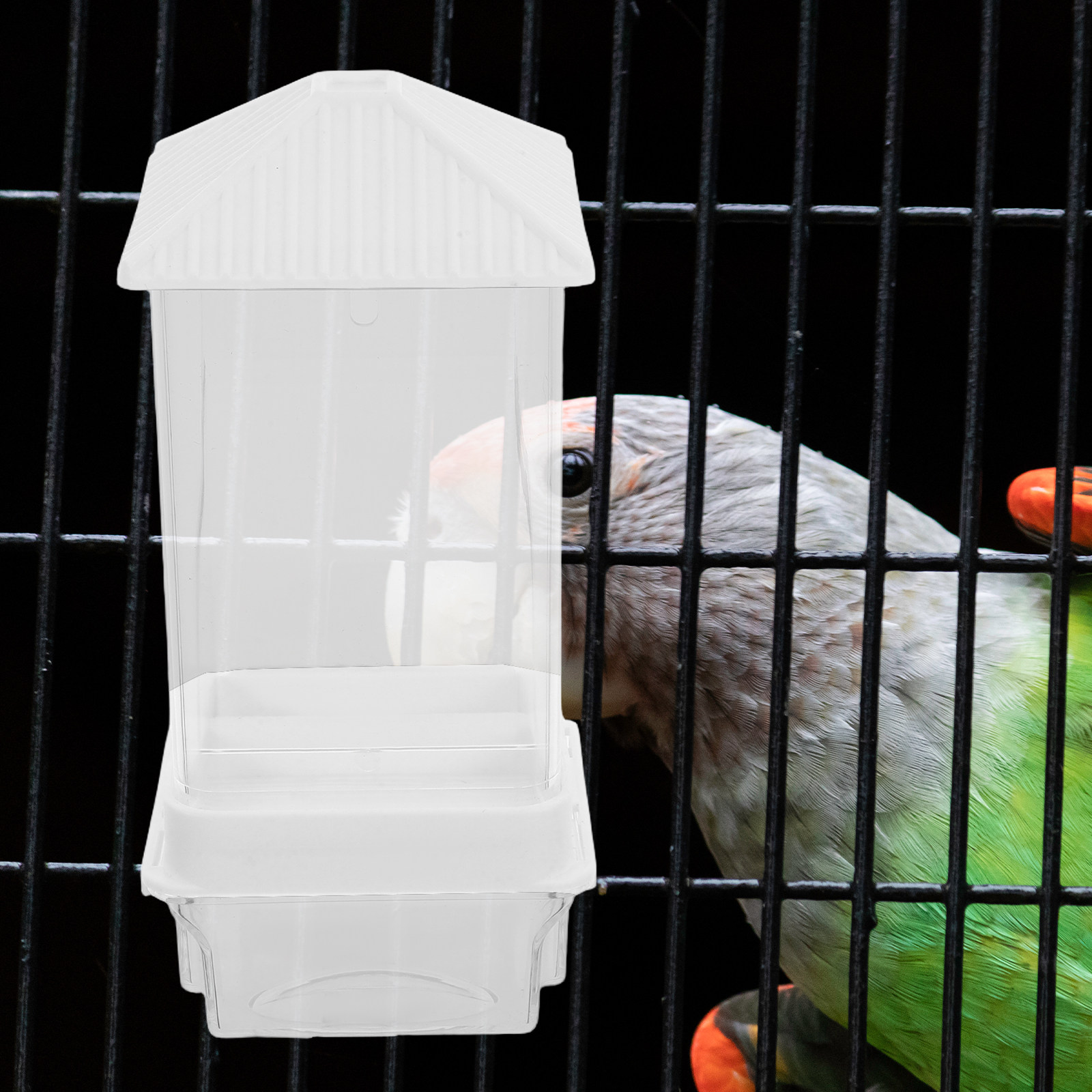 Comedouro Automático para Páss - Feeding avaliação e preço