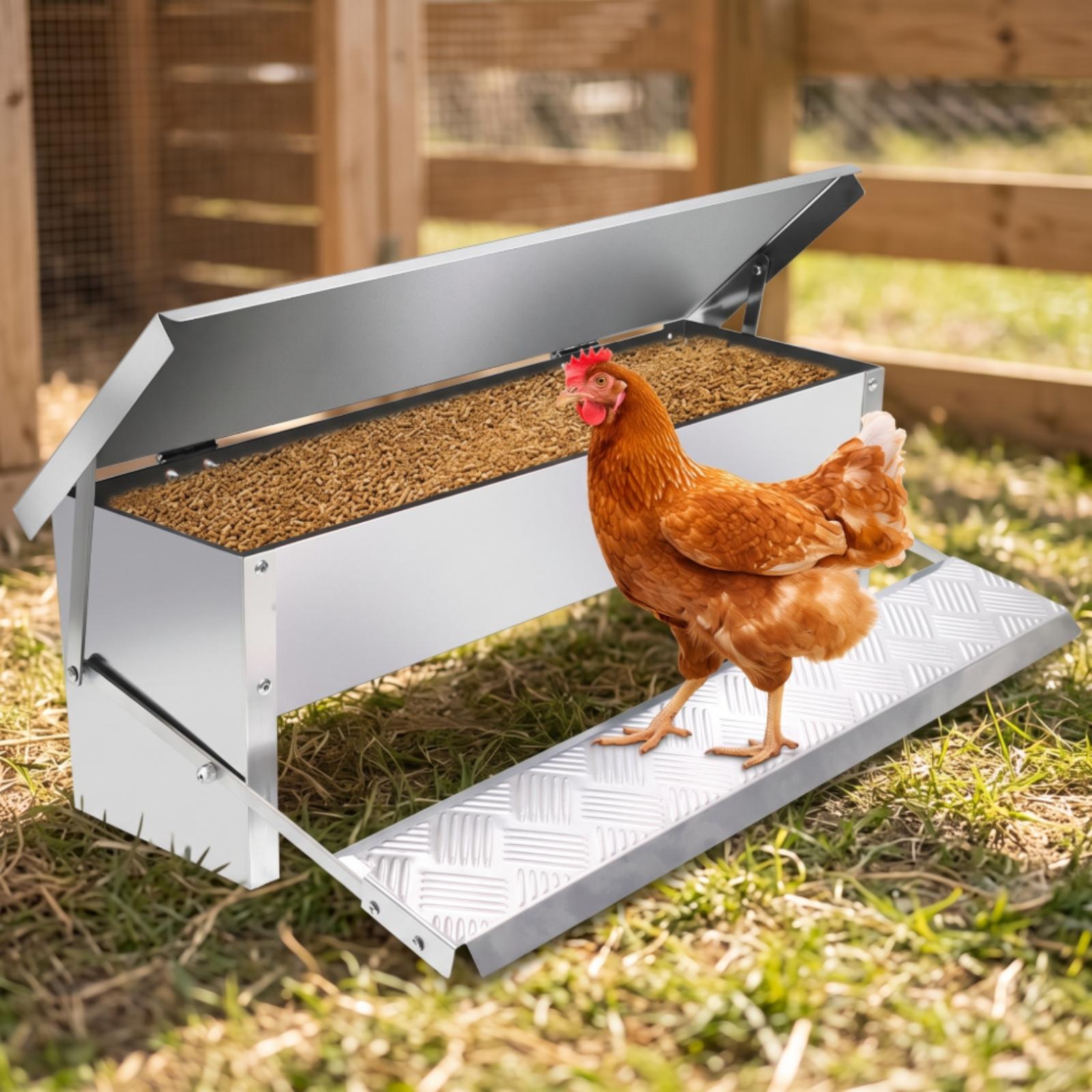 Comedouro Automático para Aves - Feeding avaliação e preço